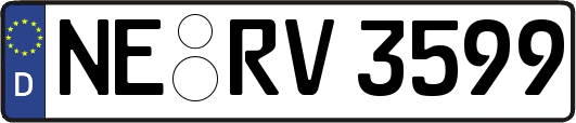 NE-RV3599