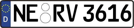 NE-RV3616