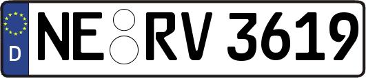 NE-RV3619