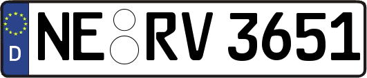 NE-RV3651