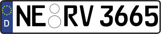 NE-RV3665