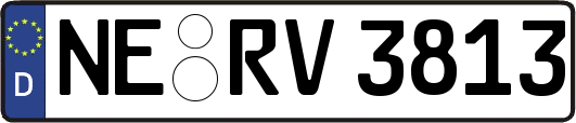 NE-RV3813