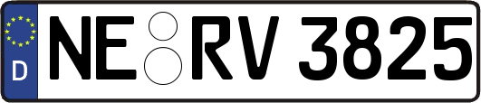 NE-RV3825