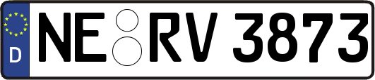 NE-RV3873