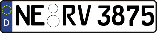 NE-RV3875