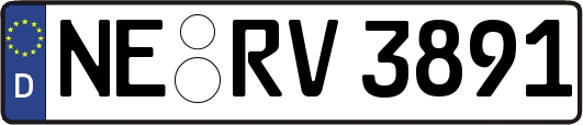 NE-RV3891