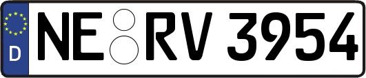 NE-RV3954