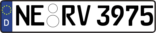 NE-RV3975