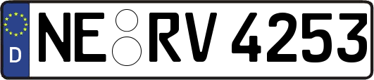 NE-RV4253