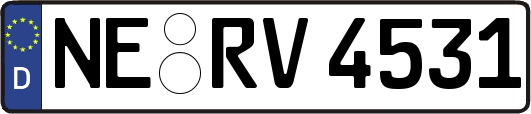 NE-RV4531