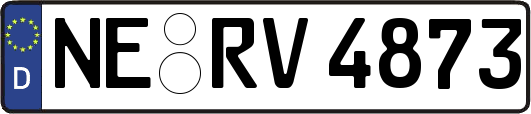 NE-RV4873