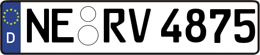 NE-RV4875