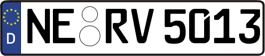 NE-RV5013