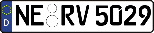 NE-RV5029