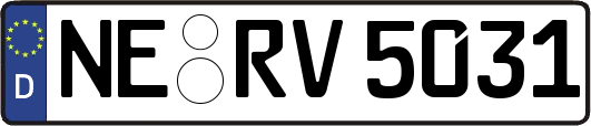 NE-RV5031