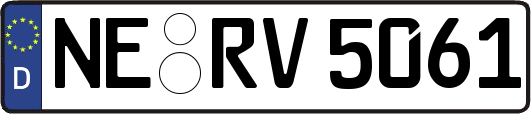 NE-RV5061
