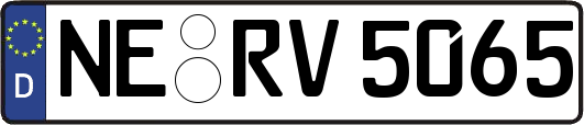 NE-RV5065