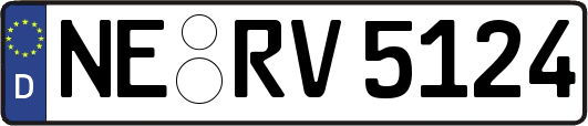 NE-RV5124