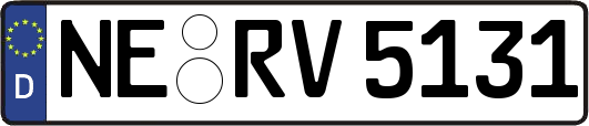 NE-RV5131