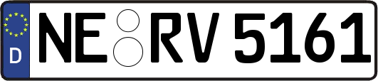 NE-RV5161