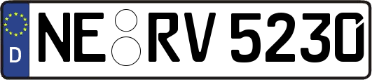NE-RV5230