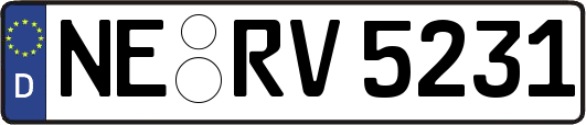 NE-RV5231