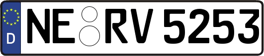 NE-RV5253