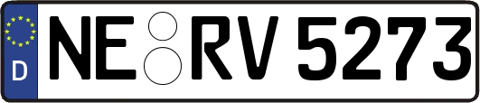 NE-RV5273