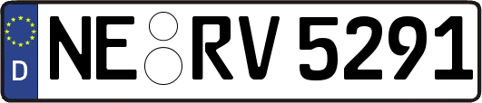 NE-RV5291