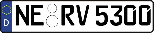 NE-RV5300