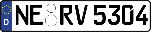 NE-RV5304