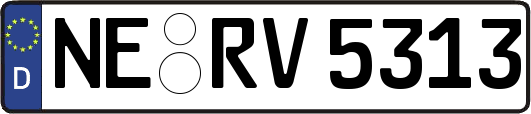 NE-RV5313
