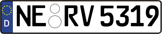 NE-RV5319