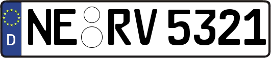 NE-RV5321