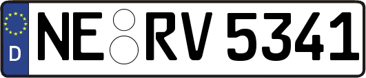 NE-RV5341