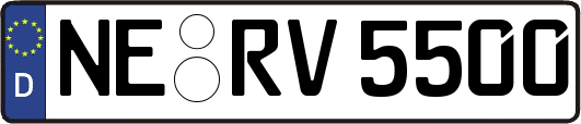 NE-RV5500