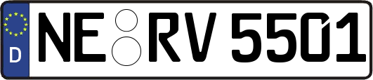NE-RV5501