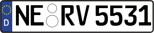 NE-RV5531
