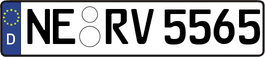 NE-RV5565