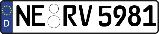 NE-RV5981