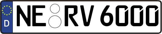 NE-RV6000