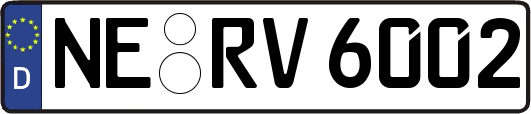 NE-RV6002