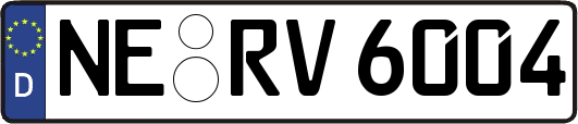 NE-RV6004