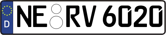 NE-RV6020