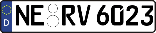 NE-RV6023