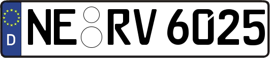 NE-RV6025
