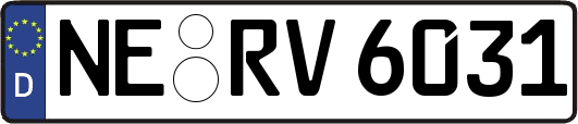 NE-RV6031