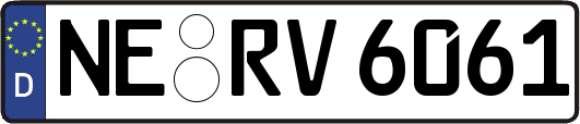 NE-RV6061