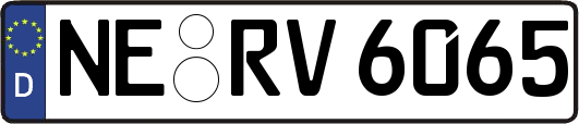 NE-RV6065