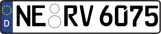 NE-RV6075